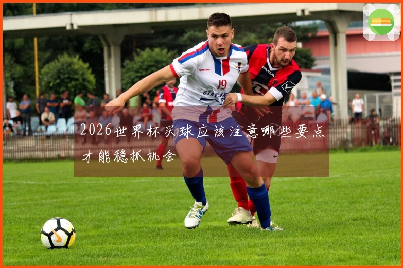 2026世界杯买球应该注意哪些要点才能稳抓机会